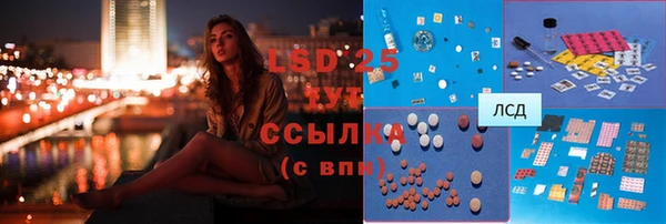 дмт Алзамай
