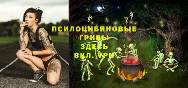 МДМА Алексин